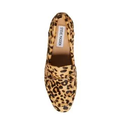 CARRINE-L LEOPARD -Fashion Haven Shop STEVEMADDEN SHOES CARRINE L LEOPARD TOP