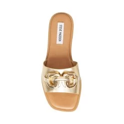 GENE GOLD -Fashion Haven Shop STEVEMADDEN SHOES GENE GOLD TOP