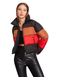 DAISY JACKET BLACK 11 DAISY JACKET BLACK -Fashion Haven Shop STEVEMADDEN APPAREL BM300518 BLACK 01