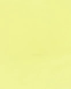 CAMERON SKIRT CITRON -Fashion Haven Shop STEVEMADDEN APPAREL BM309722 CITRON 68603