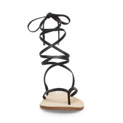 ANNA BLACK -Fashion Haven Shop STEVEMADDEN SHOES DENZELLE BLACK FRONT 1